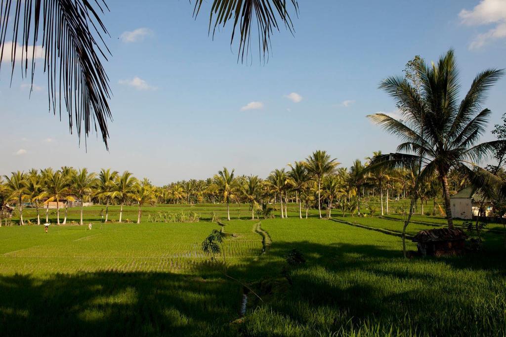 Puri Bebengan Bungalows Ubud Exteriör bild